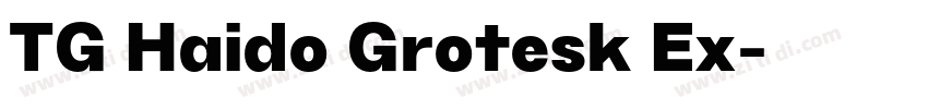 TG Haido Grotesk Ex字体转换
